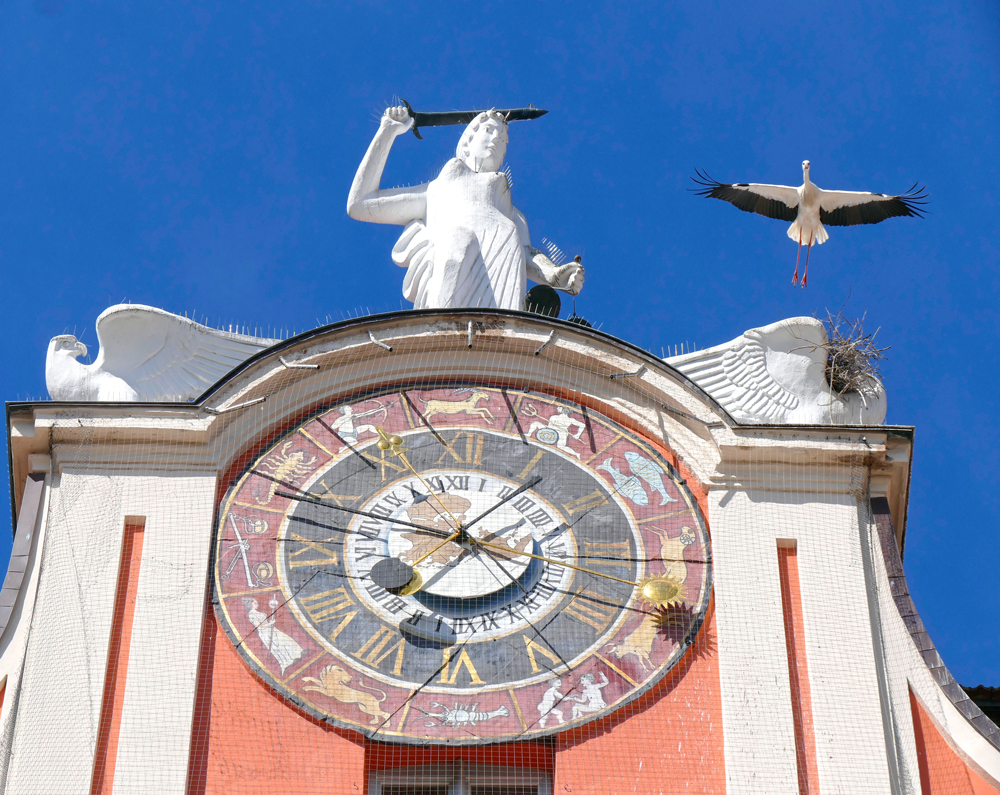 Abb. 1: Astronomisches Zifferblatt mit Storch, Foto: Silvio Marugg